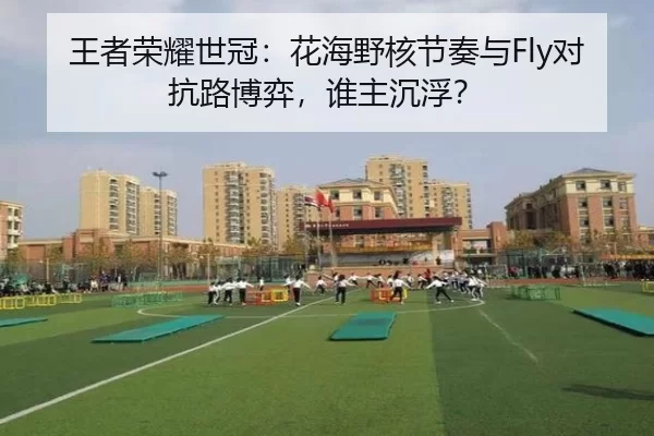 王者荣耀世冠：花海野核节奏与Fly对抗路博弈，谁主沉浮？