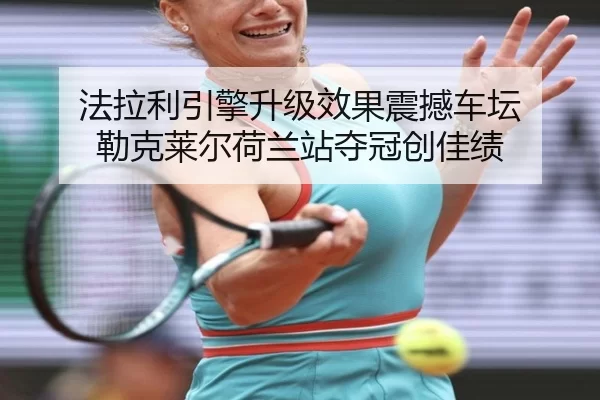 fa-la-li-yin-qing-sheng-ji-xiao-guo-zhen-han-che-tan-lei-ke-lai-er-he-lan-zhan-duo-guan-chuang-jia-ji-3-882.jpg